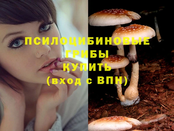 спайс Киреевск