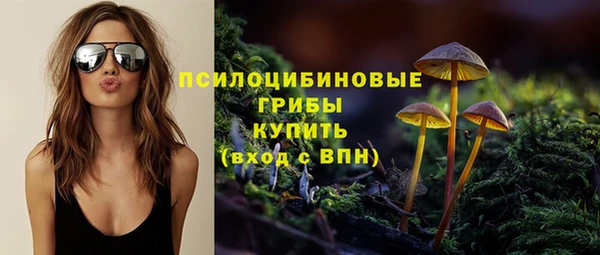 МДПВ Кинешма