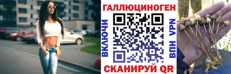 Псилоцибиновые грибы Psilocybe  Купить  Вилюйск 